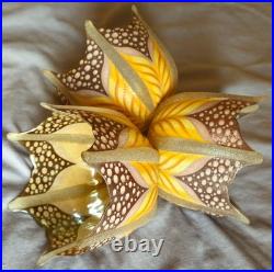 3 Tulipes abat-jour diffuseur Verre peint émaillé pour lustre ou lampe art déco