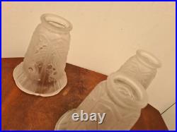 3 tulipe verre art deco Pierre MAYNADIER Decor Grappe De Raisin Lustre French