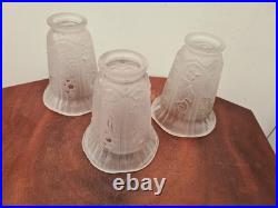 3 tulipe verre art deco Pierre MAYNADIER Decor Grappe De Raisin Lustre French