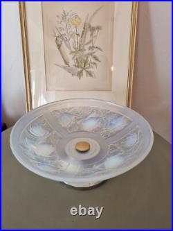 Ancienne Coupe, Époque Art Déco. Verre Opalescent signée Julien France