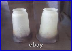Ancienne paire de tulipe en pate de verre art déco Muller Degué Schneider
