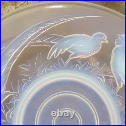 COUPE VERRE MOULE OPALESCENT ART DÉCO FAISANS Verlux France Dlg Sabino Etling