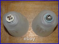 Rare Paire de Tulipes Verrerie d'Art Degué Décor de Pomme de Pin Art Déco 501