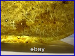 VASE Daum Nancy croix de Lorraine pate de verre art deco