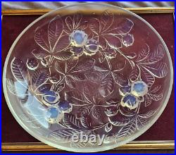 Verlys France Coupe centre de table art déco en verre moulé opalescent Marrons