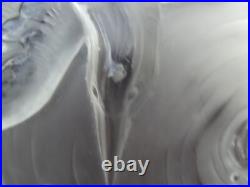 Verlys Grande Coupe en verre dépoli à décor d'oiseau et poissons signée art déco